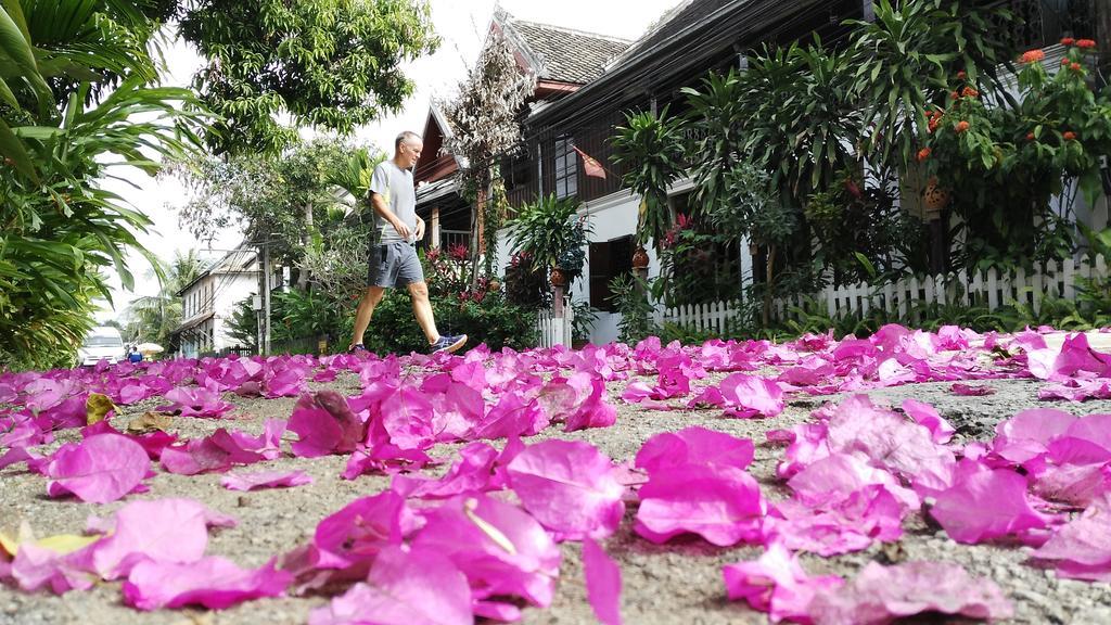 Wisdom Laos Hotel Luang Prabang Eksteriør bilde