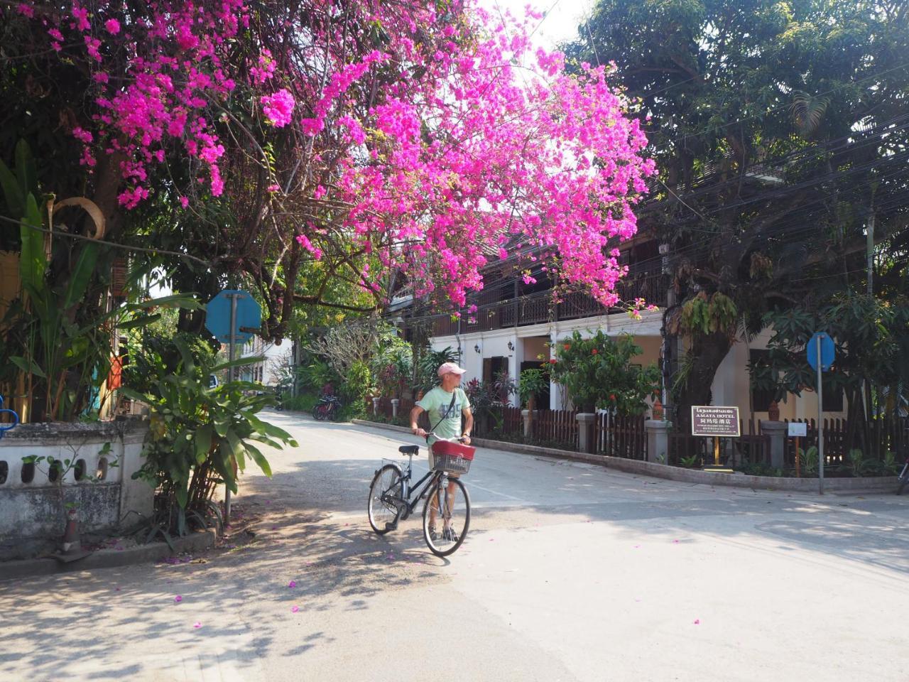 Wisdom Laos Hotel Luang Prabang Eksteriør bilde
